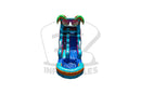 15 Dolphin SL SP Water Slide