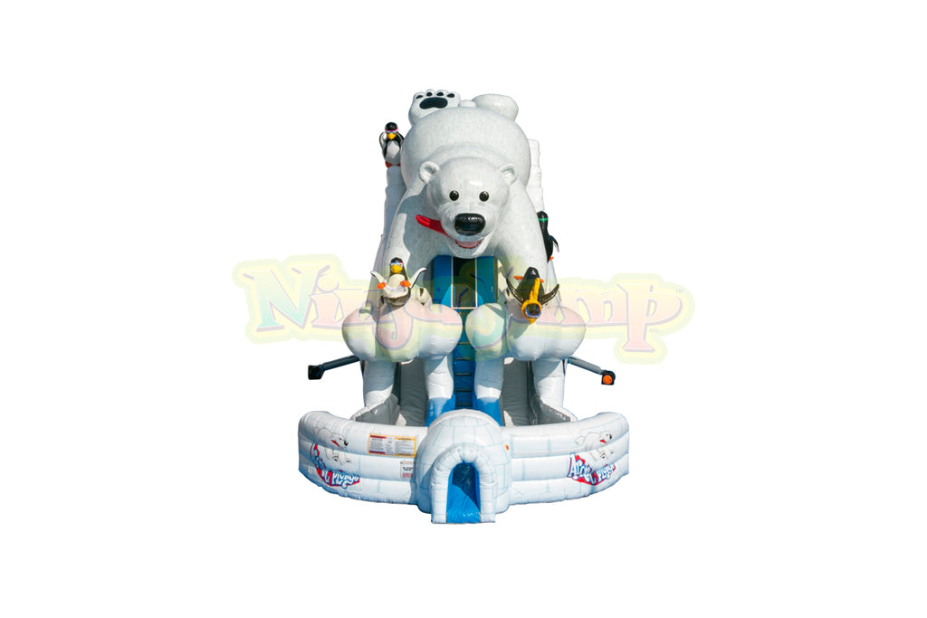 20 Arctic Plunge with Polar Bear Dry Slide