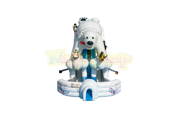 27 Arctic Plunge with Polar Bear Dry Slide