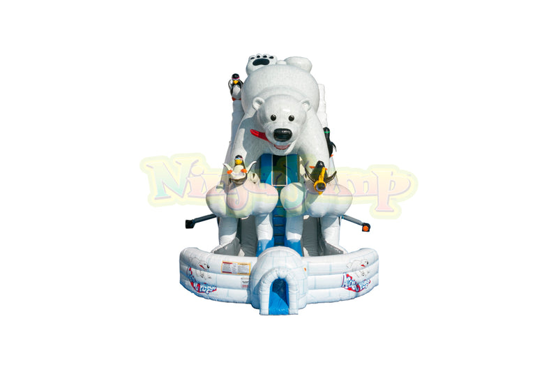 20 Arctic Plunge with Polar Bear Dry Slide