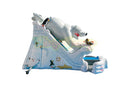 20 Arctic Plunge with Polar Bear Dry Slide