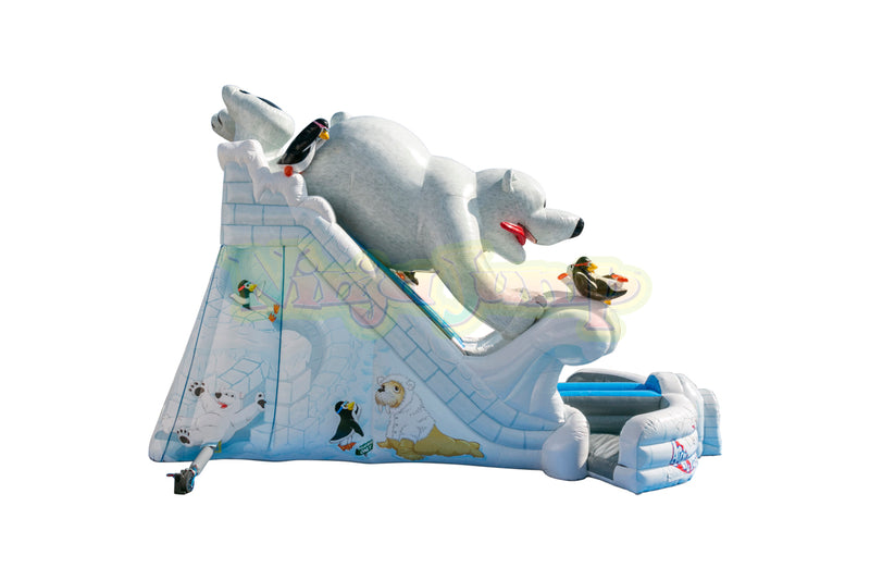 20 Arctic Plunge with Polar Bear Dry Slide