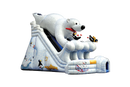 20 Arctic Plunge with Polar Bear Dry Slide