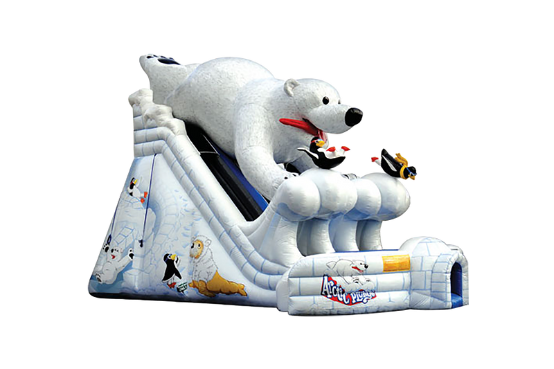 20 Arctic Plunge with Polar Bear Dry Slide