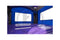 Purple Crush Pool and Stopper LG Combo