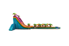 32 Teal Crush DL SP Water Slide + Slip & Slide