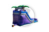 15 Purple Crush SL IP Water Slide