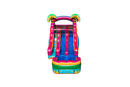 15 Teal Crush DL Water Slide