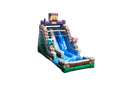 15 Pixelated DL Water Slide