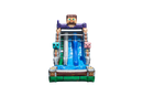15 Pixelated DL Water Slide-TX