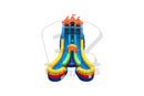 20 Carnival Double Slide DL IP Water Slide