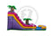 18 Purple Punch SL IP Water Slide
