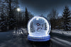 winter-wonderland-ib120 4